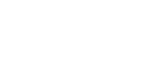 Shopify Premier Partner